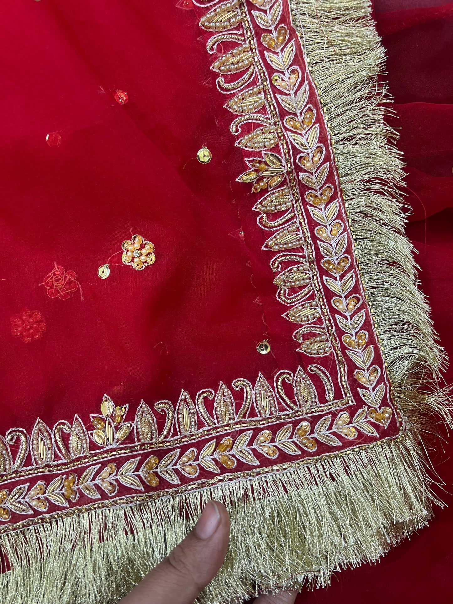 Red party wear pishwas